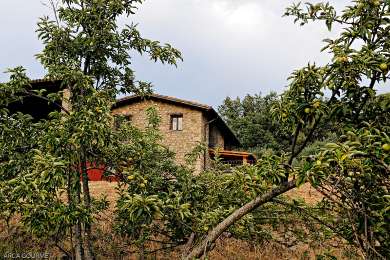 CASA RURAL                                                    