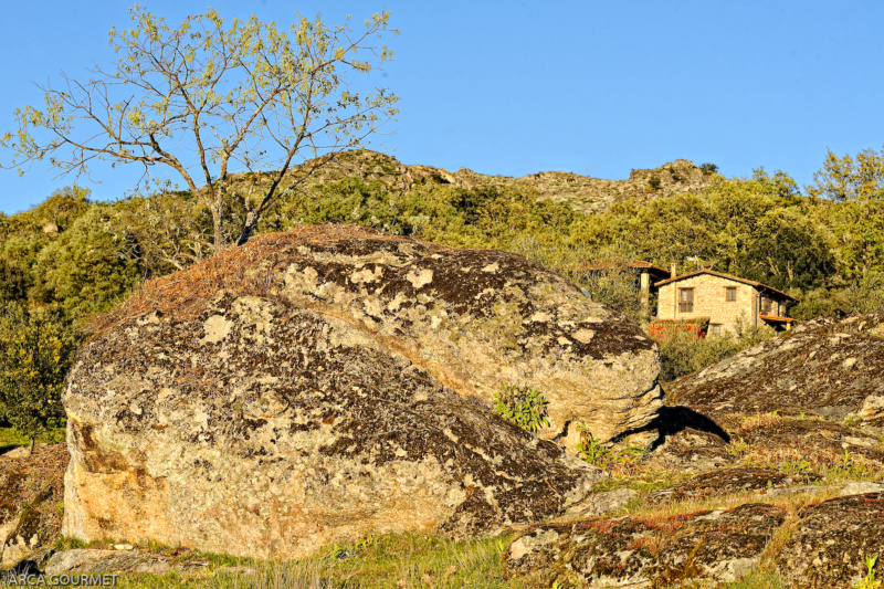 CASA RURAL EN PRIMAVERA