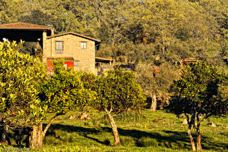 CASA RURAL EN PRIMAVERA