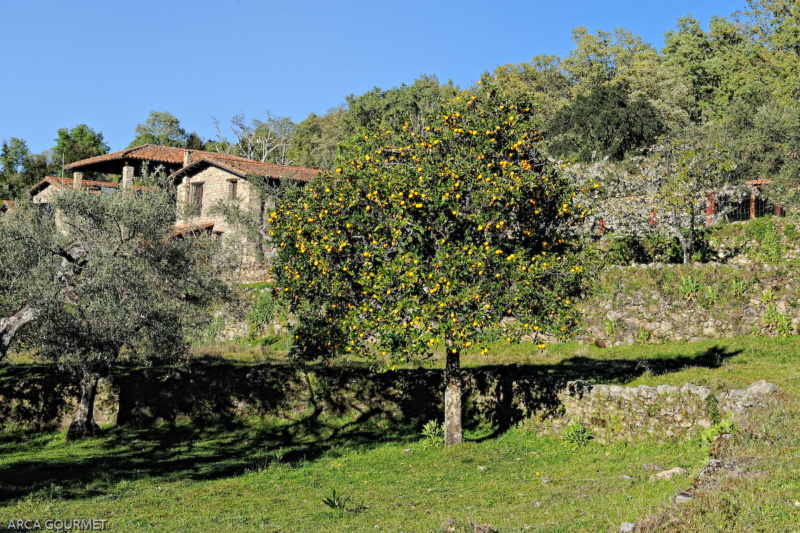 CASA RURAL