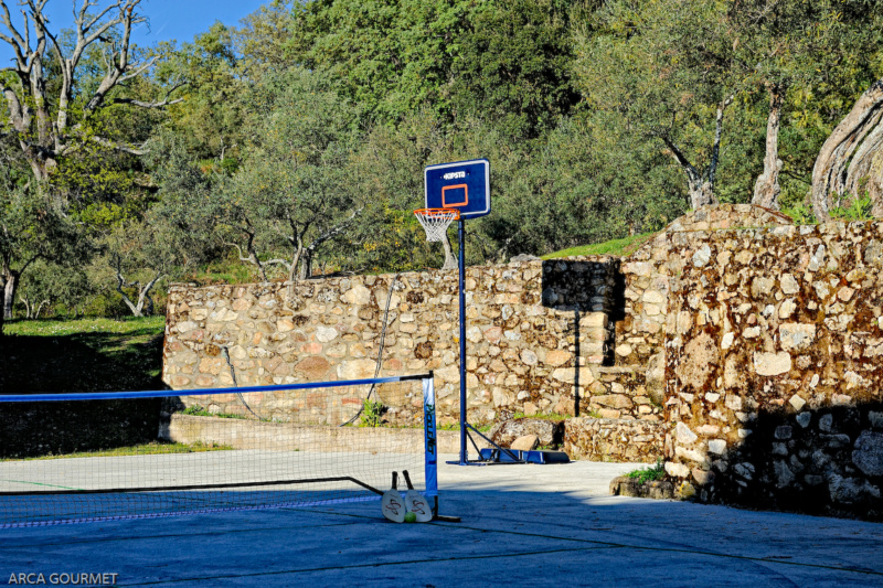 PISTA DE PICKLEBALL Y CANCHA DE BALONCESTO