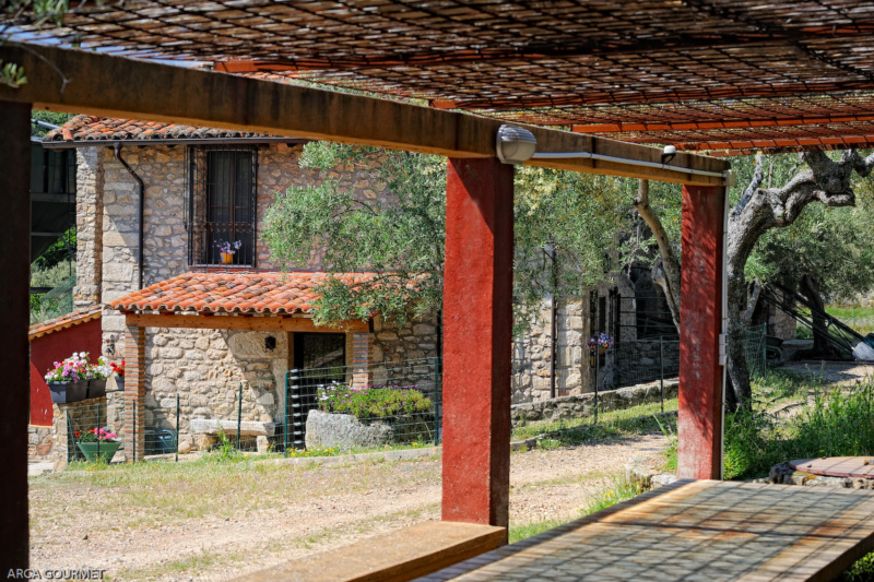 PÉRGOLA PARA ALMORZAR              