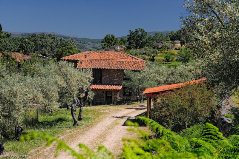  VISTA SOBRE LA CASA RURAL Y LA ALMAZARA                                                                                                                                                                              