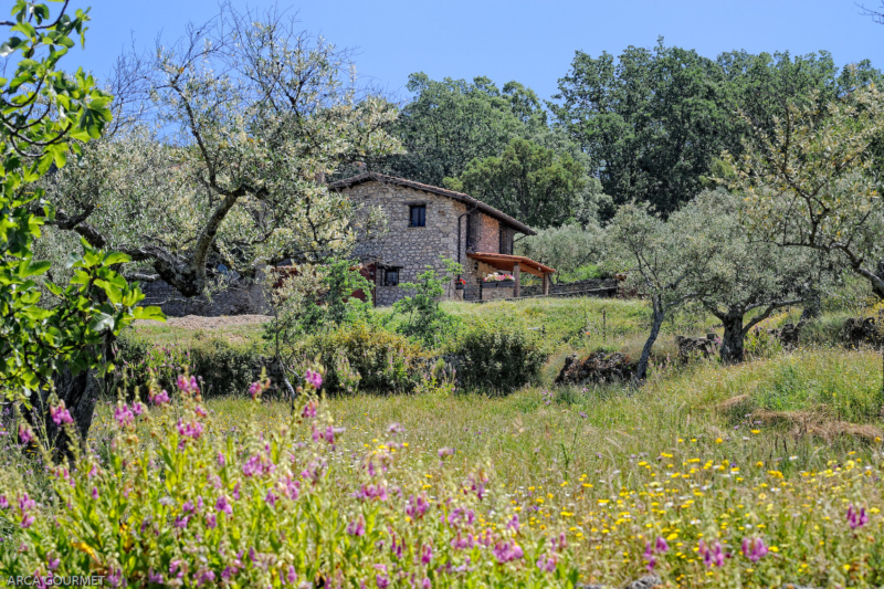 VISTA SOBRE LA CASA RURAL EN PRIMAVERA                                          