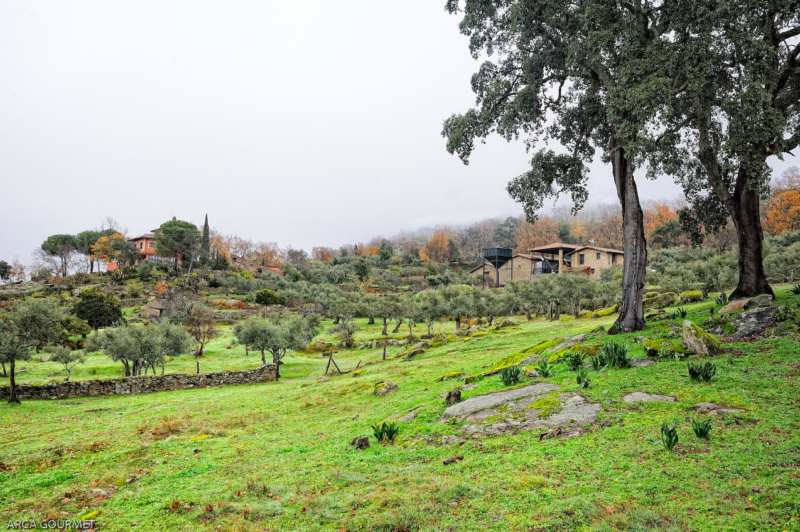 PAISAJE DE LA FINCA EN INVIERNO                                                                                             